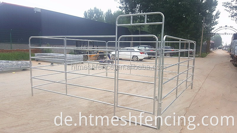 12 Fuß lang 6/5 BARS Economy Oval Tube Heavy Duty Ranch Panel (Gate)/Stahl tragbare Viehpaneele Großhandel